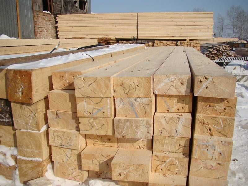 Заготовка отборного леса