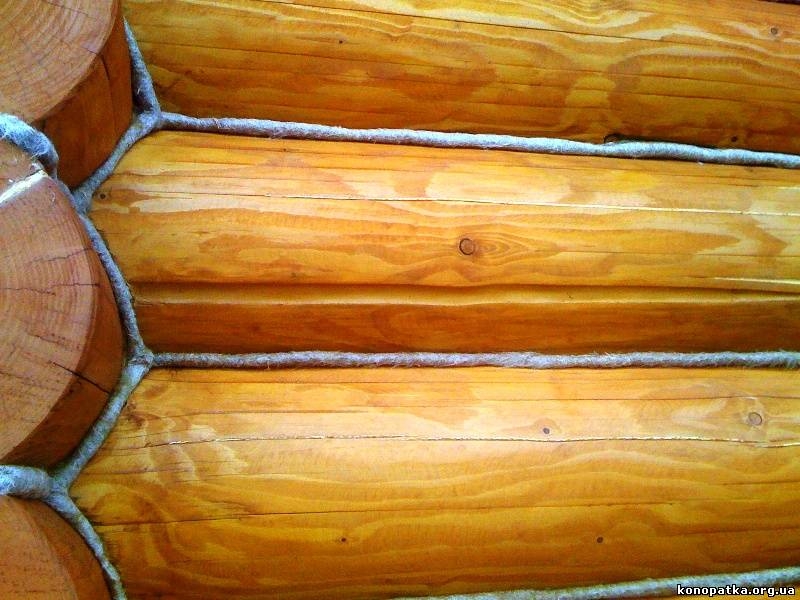 Сруб с наружи 