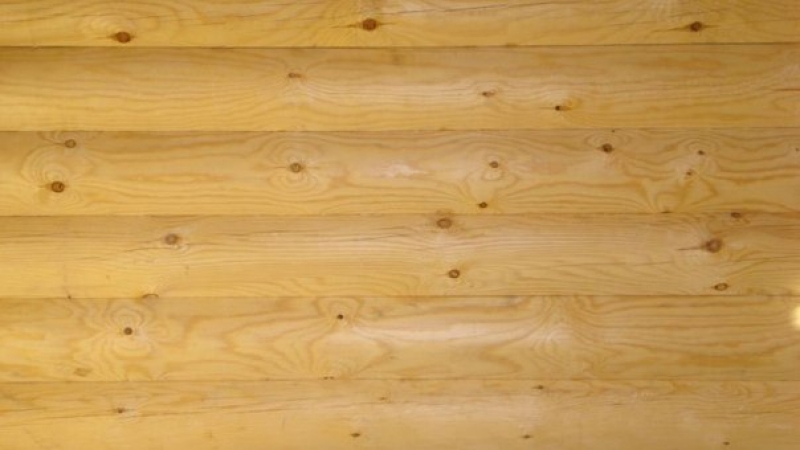 Блок-хаус из ангарской сосны