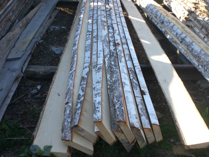 Длска березова