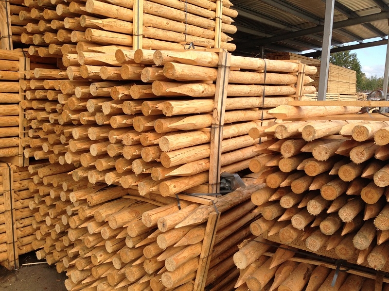 Частокол для забора хвойный разных сечений