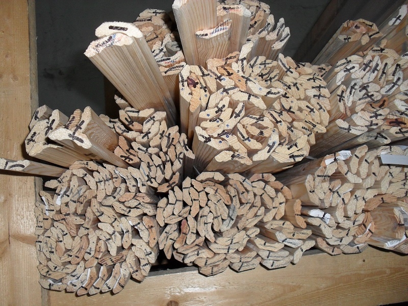 Плинтус из сосны