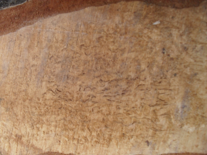 Высший отборный 