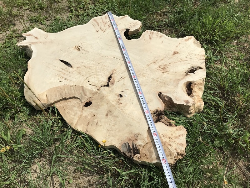 Карагач лот 1