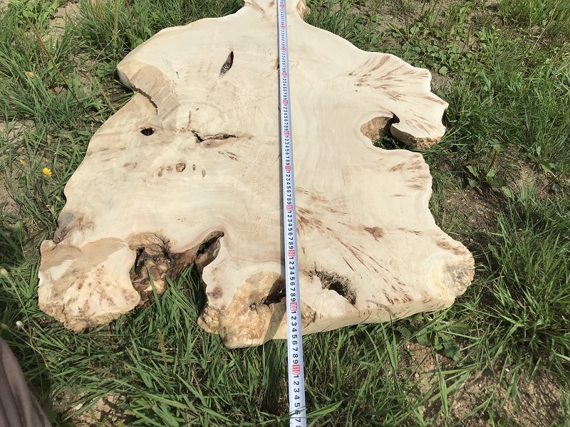 Карагач лот 1