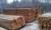 Доска необрезная из осины 